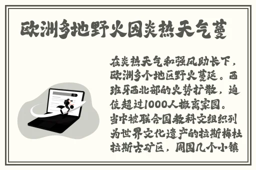 红柚免费下载